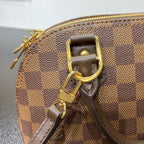 GEFLOCHTENE ALMA BB 23 IN BRAUNER DAMIER EBENE CANVAS-GOLDSCHNALLE