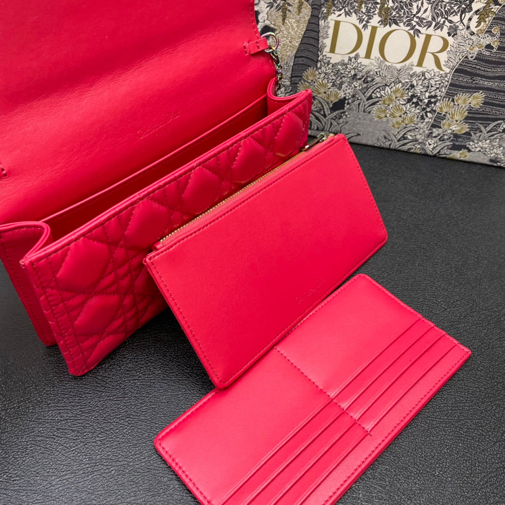 CARO SLIM POUCH 21 BAG IN CHERRY RED CALFSKIN