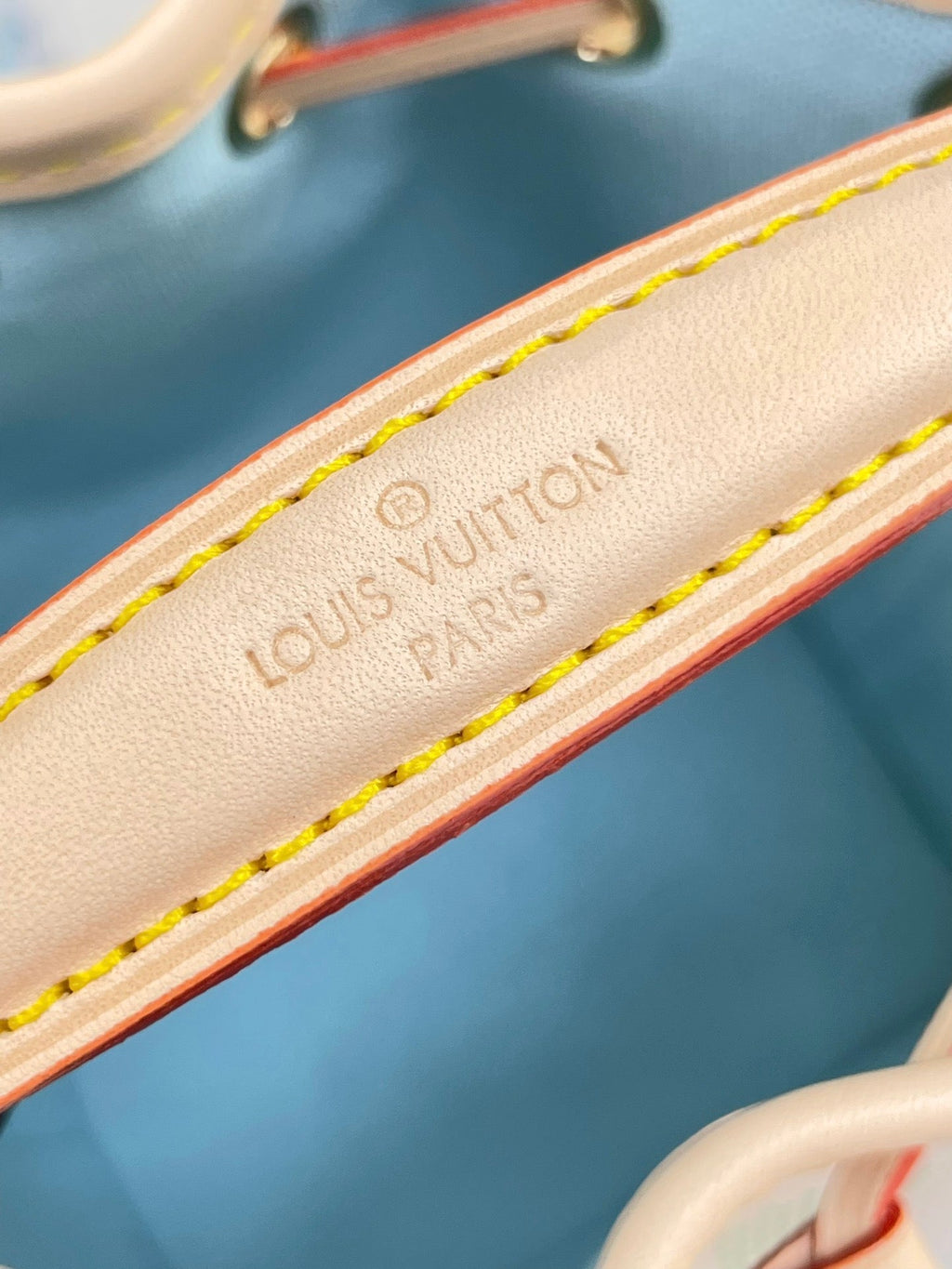 NANO NOÉ 16 IN PISTAZIE DAMIER RIESEN-LEINWAND GOLDENE HARDWARE