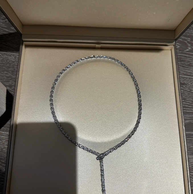 [⭐JeweliWhal]NEW！SERPENT DIAMOND NECKLACE