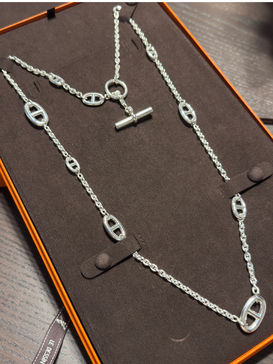 [⭐JeweliWhal]Classic Silver Sweater Chain
