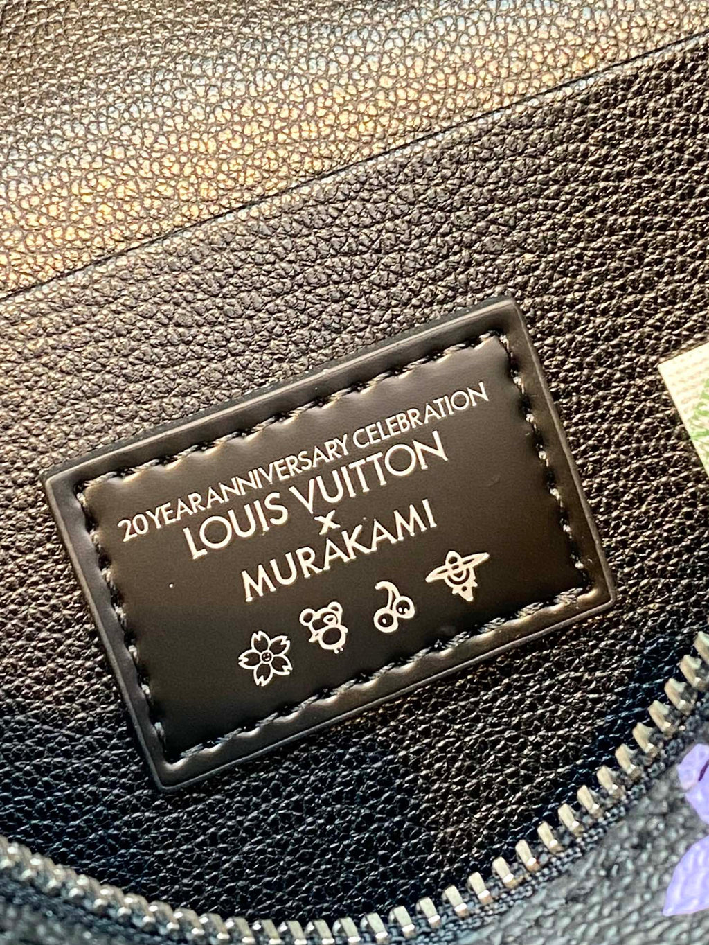 Schönes BB 20 Zoll buntes Monogramm-Canvas mit silbernem Reißverschluss