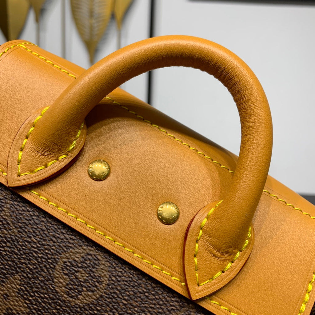 STEAMER 20 IN BRAUNEM MONOGRAMM-STAUB-CANVAS UND KALBSLEDERBEZIERTEN GOLDENEN HALSBÄNKEN