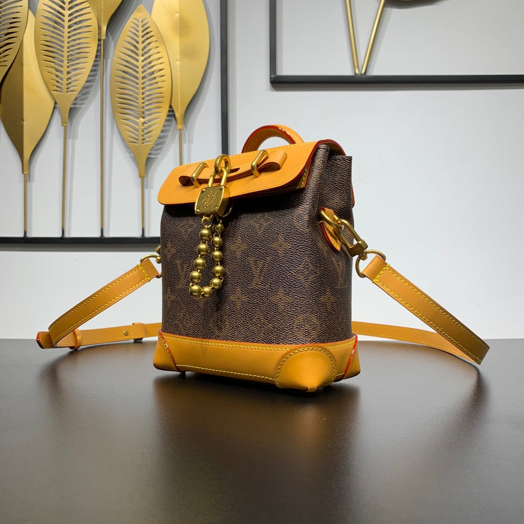 STEAMER 20 IN BRAUNEM MONOGRAMM-STAUB-CANVAS UND KALBSLEDERBEZIERTEN GOLDENEN HALSBÄNKEN