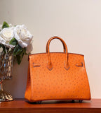 HM BIRKIN 25 BAG IN FIRE ORANGE OSTRICH LEATHER WITH SILVER HARDWARE (MADE-TO-ODER)