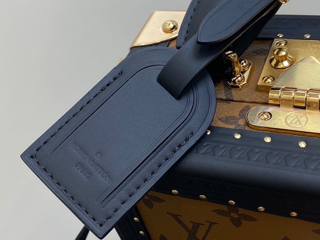 MINI SQUARE TRUNK 17 HUNDE-DRUCK IN BRAUN MONOGRAMM REVERSE CANVAS